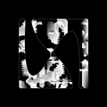 vision 3.3