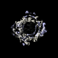 portal 118 preview